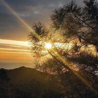 JesusBatan2's profile picture. Creiente, me siento de izquierda pero internacional no nacionalista.