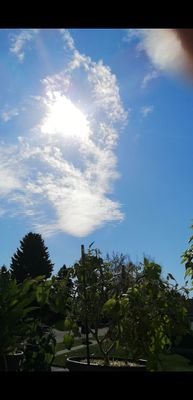 TwatterSux8's profile picture. Canadian Patriot - Trump is my President