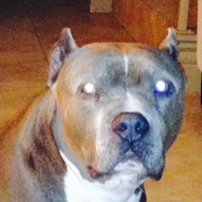 MiguelI77536710's profile picture. Day and swing trader.