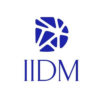 IIDM Informatica Innovazione Digitalizzazione & Marketing: Un nuovo modo di competere