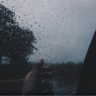 gojocod11's profile picture. 18+