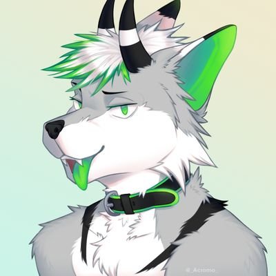 Kaibutsuさんのプロフィール画像