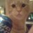 Dan Clark (@danclark77) Twitter profile photo