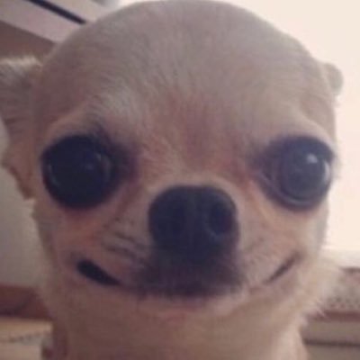 ur_weird_'s profile picture. ah, pickles!