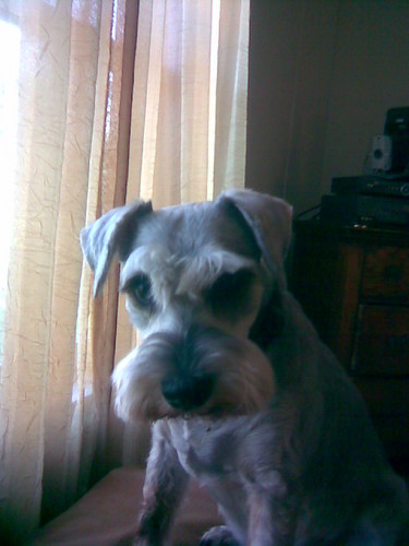 neonlotus1's profile picture. Freethinker, Analytical Renegade, Writer, Artist, Mystic