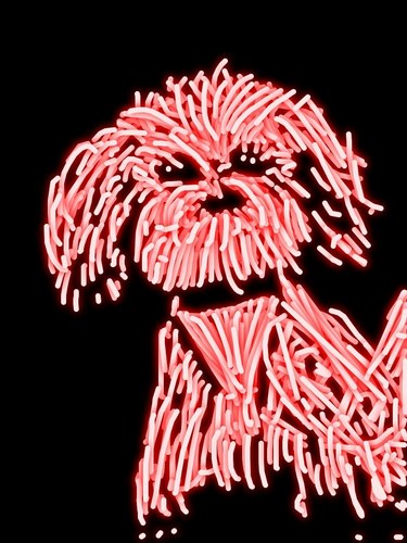 ethelsaidit's profile picture. passion...rise up actvists now, global, let us re mother our world together