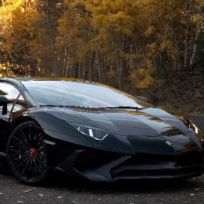 gerovivaper's profile picture. 