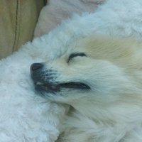 Juan S. (@jspm29) 's Twitter Profile