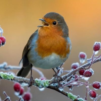 northern Irish mum, lover of nature, tea drinker,talker.