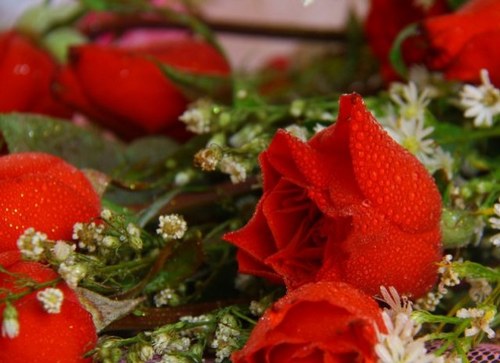 nicegab's profile picture. 