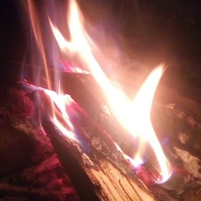 philippenkuba's profile picture. 
