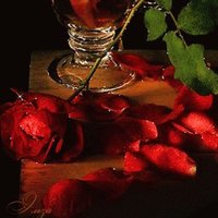🌹@kitab_ask38 (@aksoygonca2) 's Twitter Profile