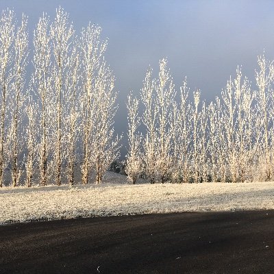 Professor at the University of Idaho. Studying sustainable agriculture and evolutionary ecology. Profanity a specialty. words are my own. @edlewis.bsky.social