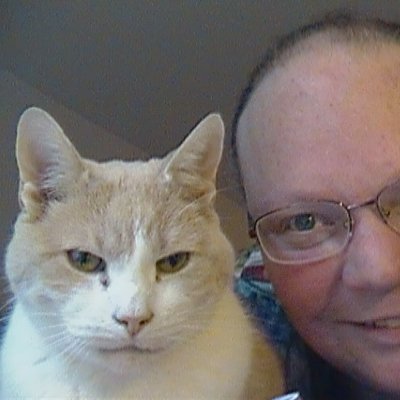 JenniferPoco's profile picture. Alternate account of Jennifer McCreath aka @Jenn_McCreath. This account will focus more on sports and music while the main one focus on political issues.