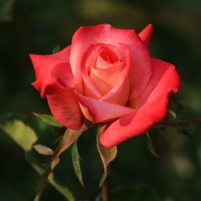 0OIhw5ZqJCgAUla's profile picture. 그냥~