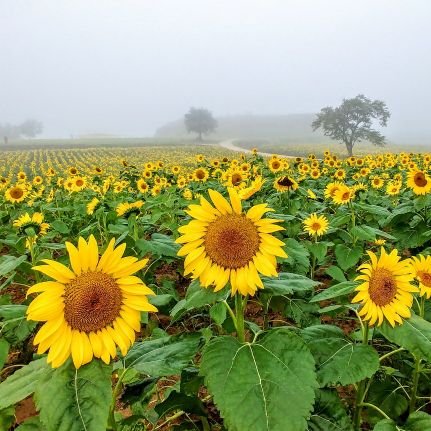 친구해요