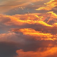 🇯🇵ずくにゅうとじゅうりんきんⓇ🦋✨ (@nippon528) 's Twitter Profile