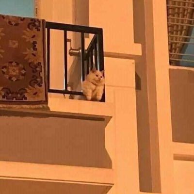 wyaaa_a's profile picture. 얌전히 구독할게요 ...