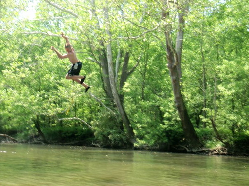 softcore_chorn's profile picture. 