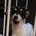 yay gracrad (@everardososac) Twitter profile photo yay gracrad (@everardososac) Twitter profile photo