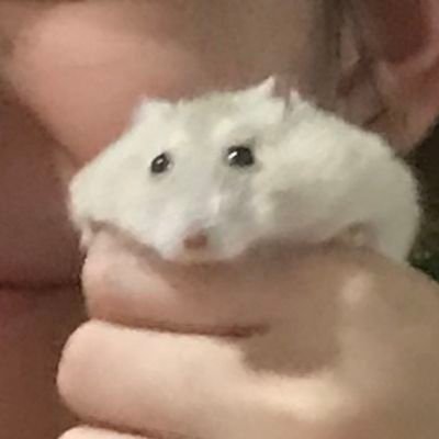 _lljsufjj_'s profile picture. 