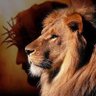 _____ASLAN's profile picture. "O mal será bem quando Aslan chegar, ao seu rugido, a dor fugirá, nos seus dentes, o inverno morrerá, na sua juba, a flor há de voltar."