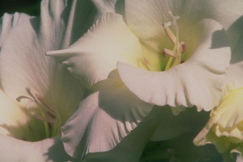 khlprova401's profile picture. 