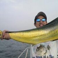 さんぺー (@toshi_sg5) 's Twitter Profile Photo