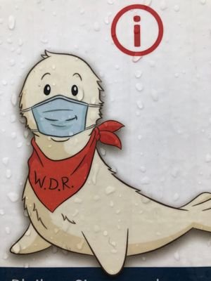 Motti072's profile picture. I'm a student from Germany who is interested in politic topics, cars, travelling the world and having nice conversations!