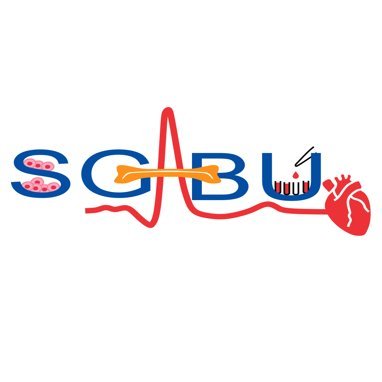 Increasing scientific, technological and innovation capacity of Serbia as a Widening country in the bioengineering - multiscale modelling & medical informatics
