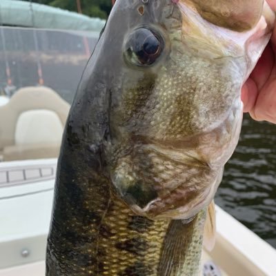 pced1969's profile picture. 