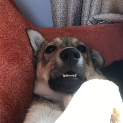 AngelaB43138421's profile picture. 