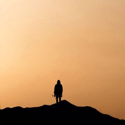 AIDeveloper_PRC's profile picture. 