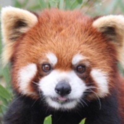 VY3XhfjVWEVRAs1's profile picture. 春から社会人 ♂ 無言フォローすみません_(。_。)_フォロバナシです 。通信資格取得中/8月退職 /介護低浮上