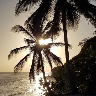 #Actualité #Information #Guadeloupe 971🇬🇵 #Caribéen #Voyage #Travel #Sunrise #Sunset