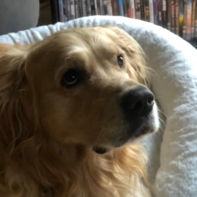 scottmc80964536's profile picture. Scott