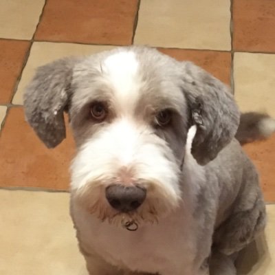 Luk34094832's profile picture. 