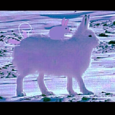 hagan700's profile picture. 孤独に仮の意味があるのなら  

考えたいことも
考えたくないことも

会話下手でよければお手紙ください