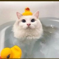 ece (@ece50566603) Twitter profile photo