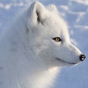 taka_kg_7's profile picture. 