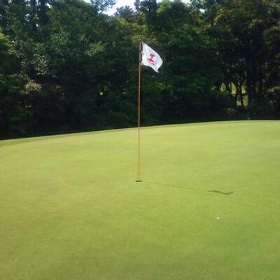 Hisatak 久々のゴルフ練習 ヘッドを走らせる事を意識したけど全く走らない 腕とシャフト ヘッド がおんなじように動いてしまう 友人にコツを教わりながら試行錯誤した結果ハーフスイングのつもりで振るとヘッドが走るようになった ビデオ観ると綺麗にフル