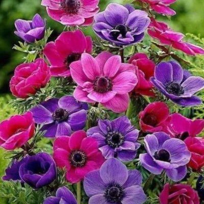 nlgn1979's profile picture. 