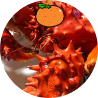 二流ペニーYⅡ 🐮✨ ♌️🔲🐮🔥🐻💿🐏🍊🐰🎨 🧸✖🧸💯🦂 (@agafkgga) Twitter profile photo