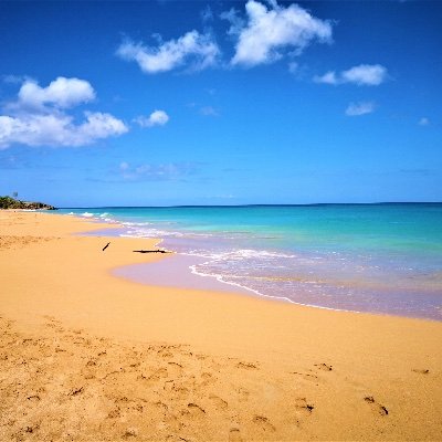 hermainmer's profile picture. 