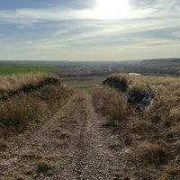 ontkas (@ontkas) 's Twitter Profile