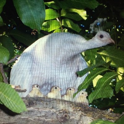 GOINGROGUE16's profile picture. Retired https://t.co/LwXzIKoGKB (22 years). Retired teacher (17 years). Biker