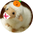 ✪ゆら✪のアイコン