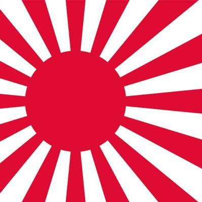 正義🇯🇵愛国心🎌日本を守りたい！拉致被害者奪還！憲法改正！皇族は男系！強国日本の復活！🇯🇵日本の主役は日本人🎌無言フォロー失礼します。サブ垢@DX235557148もよろしくお願いします。