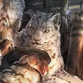 猫田宵弛さんのプロフィール画像