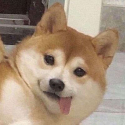 耍賤草莓龜on Twitter 虎仗寶包聖誕節不孤單 耍賤草莓龜on Twitter 虎仗寶包聖誕節不孤單